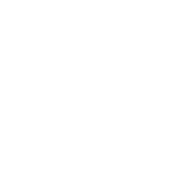 ���ַ���