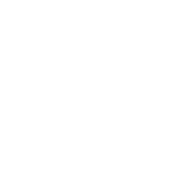 ��ͣ